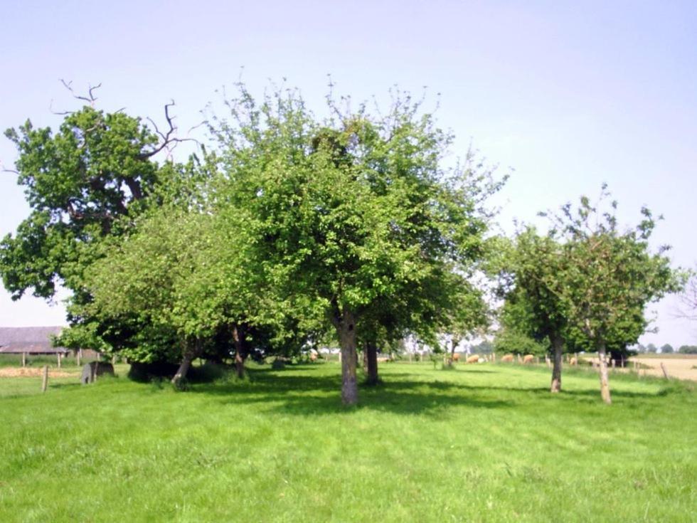 Chambres D'Hote Honey Orchard Farm Vessey Zewnętrze zdjęcie