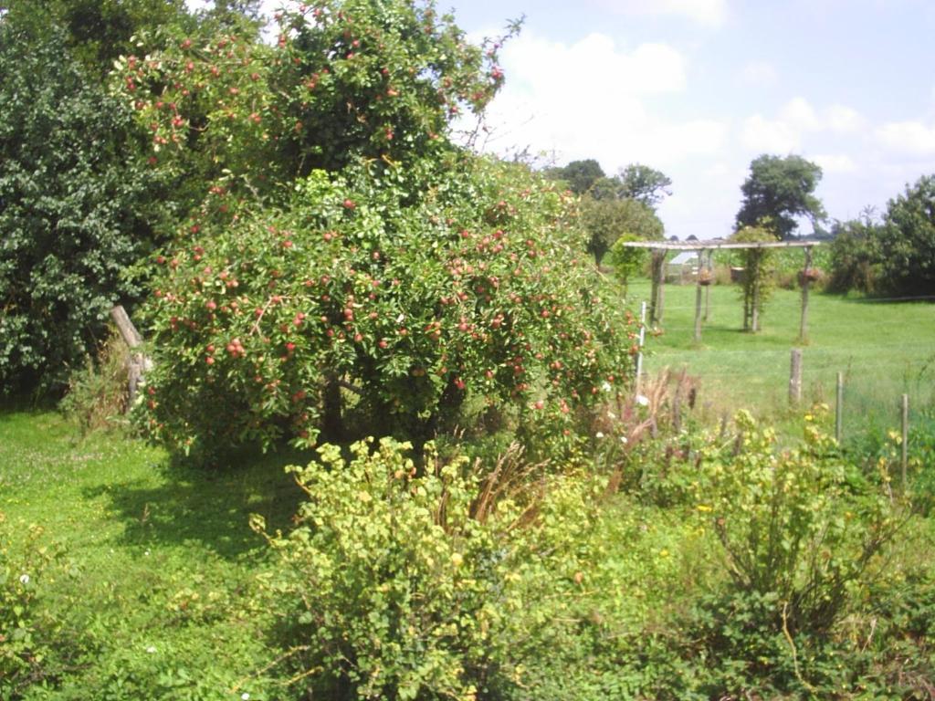 Chambres D'Hote Honey Orchard Farm Vessey Zewnętrze zdjęcie